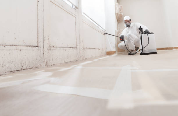 24/7 Emergency Mold Cleanup experts in Maywood, NJ